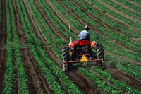 Cultivating a High Yield in Outsourcing | Article