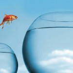 Thought Spot: Moving from BPO to BFO | Article