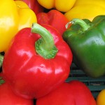 Award-Winning Outsourcing Relationships — Three Key Ingredients in their “Secret Sauce” | Article