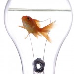 Providing Innovation to Do Business Better