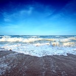 The Next Wave of Vendor Relationship Management | White Paper