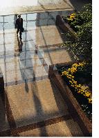 Man in a Glass Building