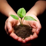 Hot Spots for Growth in Outsourcing | Article